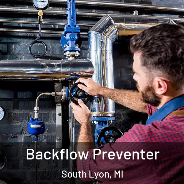  Backflow Preventer South Lyon, MI