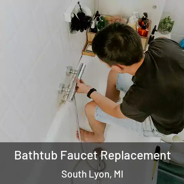  Bathtub Faucet Replacement South Lyon, MI