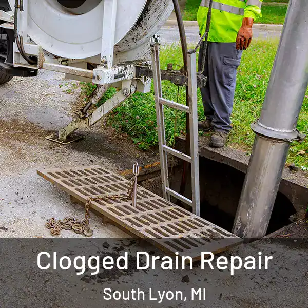  Clogged Drain Repair South Lyon, MI