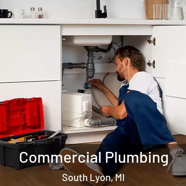  Commercial Plumbing South Lyon, MI