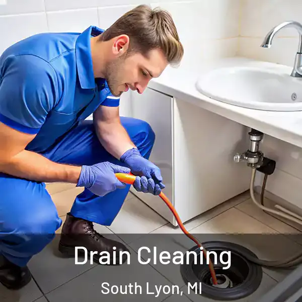  Drain Cleaning South Lyon, MI