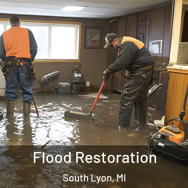  Flood Restoration South Lyon, MI