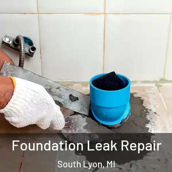  Foundation Leak Repair South Lyon, MI