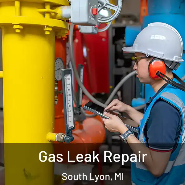  Gas Leak Repair South Lyon, MI