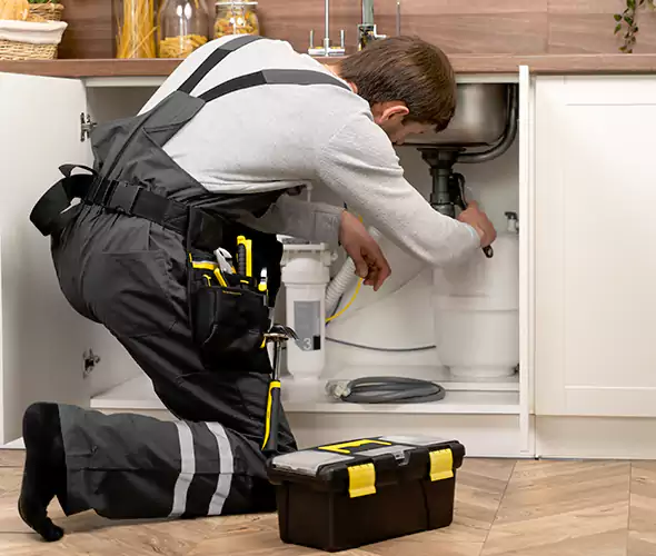Certified Plumbers for Insinkerator Installation in South Lyon