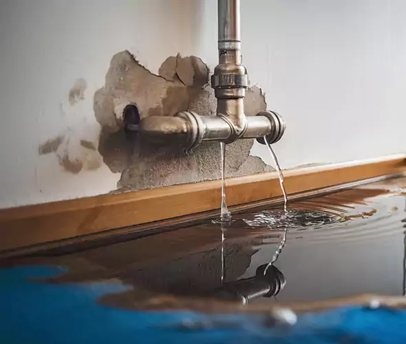 Professional Water Damage Restoration Experts in South Lyon, MI — Fast, Reliable & Certified