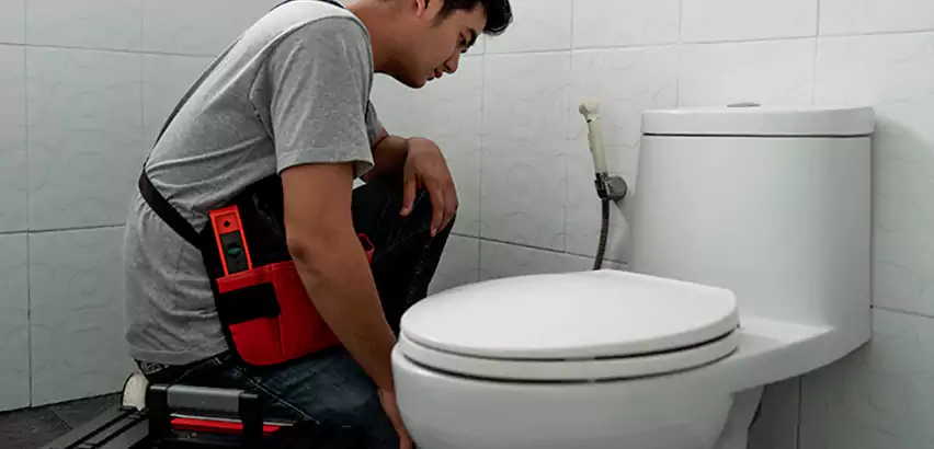 Toilet Repair in South Lyon