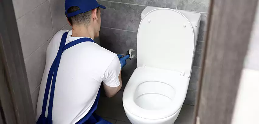Toilet Lid Replacement in South Lyon