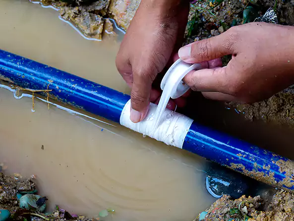  Why Choose South Lyon Plumbing Pro for Leak Detection in South Lyon, MI?]