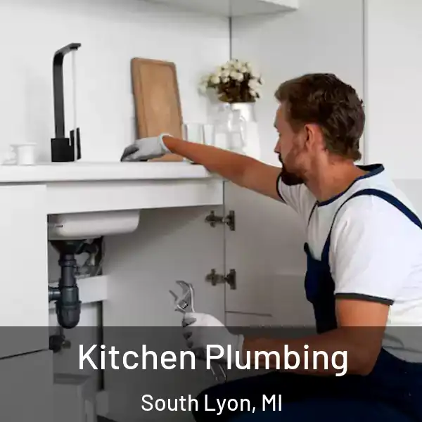  Kitchen Plumbing South Lyon, MI