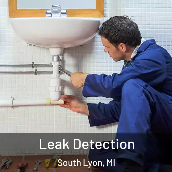  Leak Detection South Lyon, MI