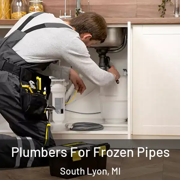  Plumbers For Frozen Pipes South Lyon, MI