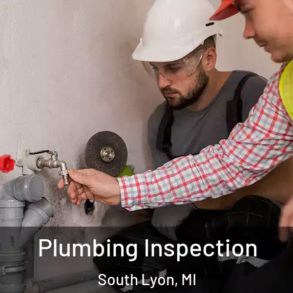  Plumbing Inspection South Lyon, MI
