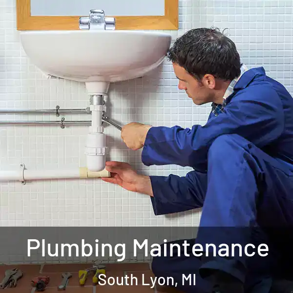  Plumbing Maintenance South Lyon, MI