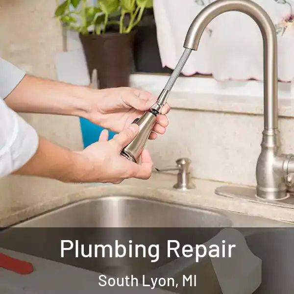  Plumbing Repair South Lyon, MI