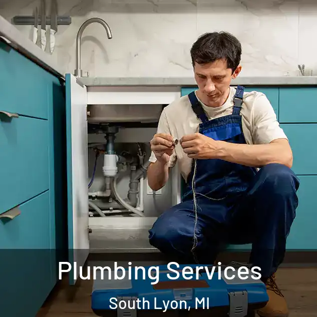  Plumbing Services South Lyon, MI