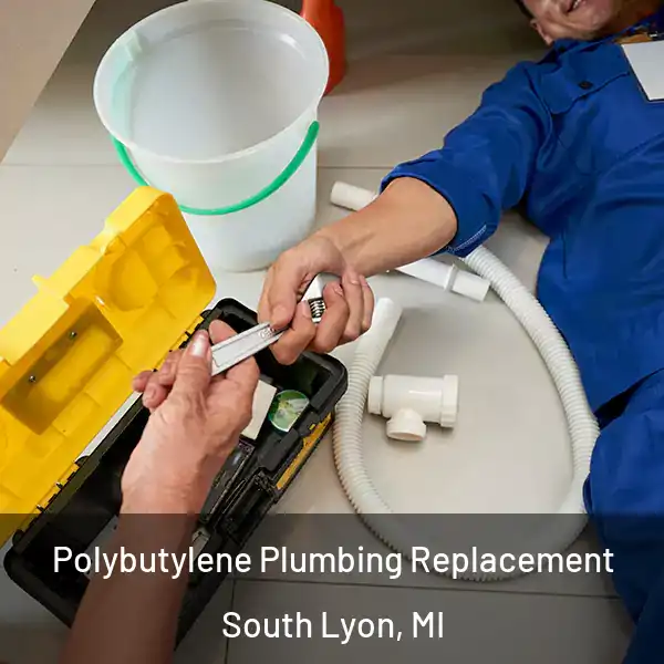  Polybutylene Plumbing Replacement South Lyon, MI