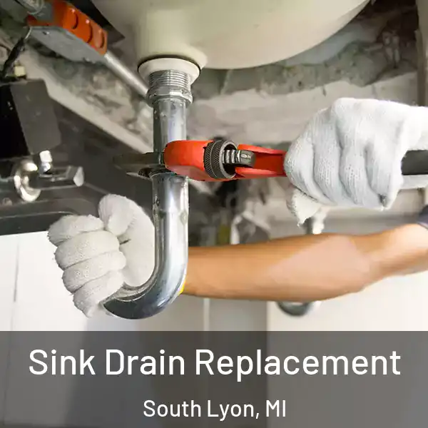  Sink Drain Replacement South Lyon, MI