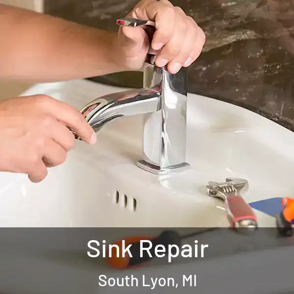  Sink Repair South Lyon, MI