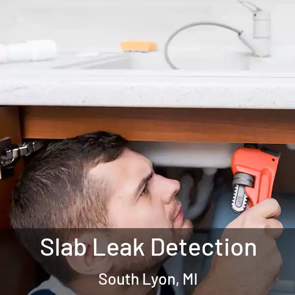  Slab Leak Detection South Lyon, MI