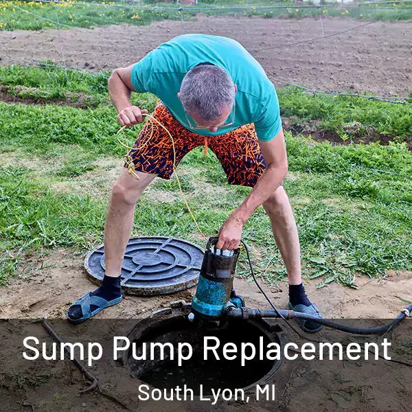  Sump Pump Replacement South Lyon, MI