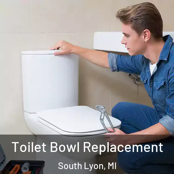  Toilet Bowl Replacement South Lyon, MI