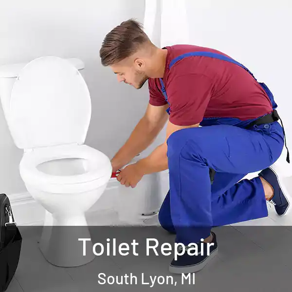  Toilet Repair South Lyon, MI