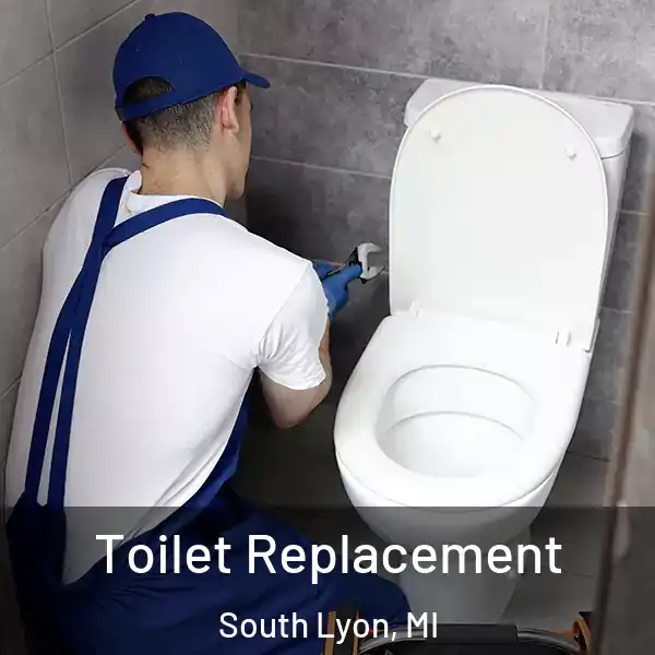  Toilet Replacement South Lyon, MI