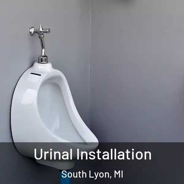  Urinal Installation South Lyon, MI