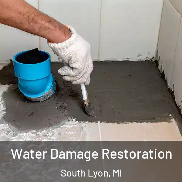 Water Damage Restoration South Lyon, MI