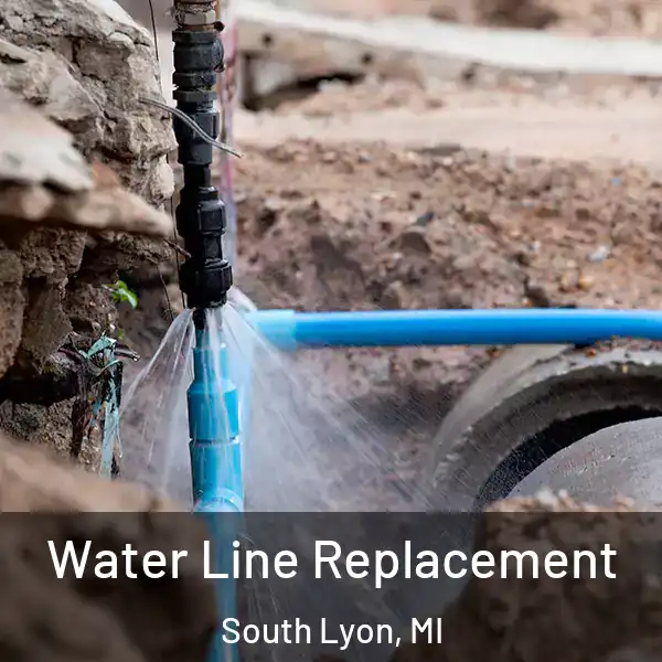  Water Line Replacement South Lyon, MI
